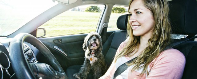 机油变什么颜色需要换(机油什么颜色的时候可以更换了)