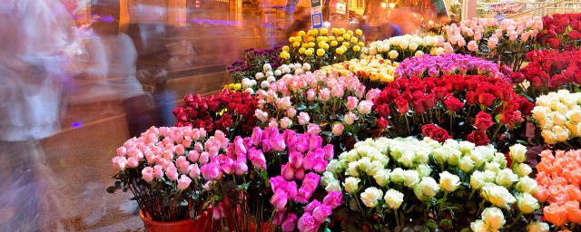 解语花的真正意思(解语花指的是什么花)