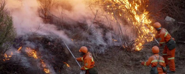 火灾的危害性介绍(火灾的危害性具体内容有)