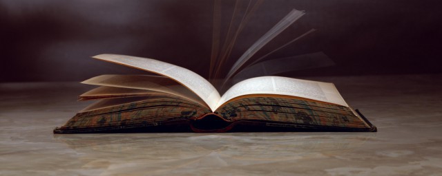 给你一点阳光你就灿烂的含义(给你一缕阳光你就灿烂的意思)