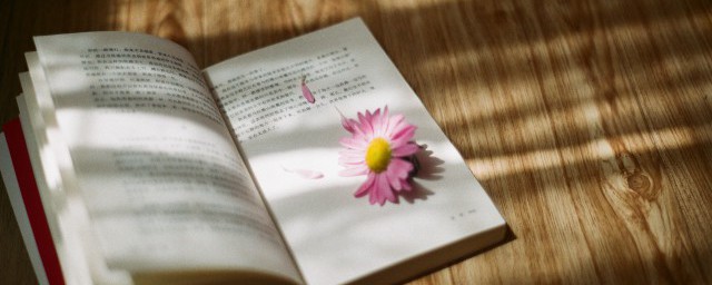 单木不成林的前一句(一木不成林后面什么)