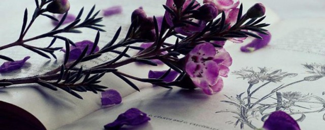 孱弱的解释(孱是什么意思)