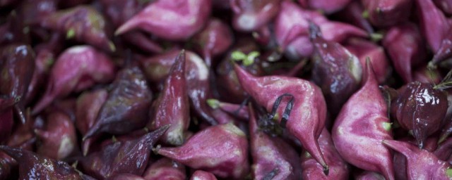 菱角的功效与作用(菱角的功效与作用及禁忌)