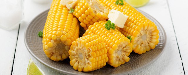 减肥中可以吃哪些主食(减肥可以吃的主食有哪些)