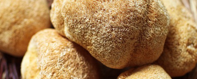 干猴头菇如何做菜(干猴头菇的家常做法炒菜)