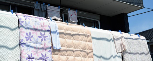 蚕丝被能晒太阳吗(蚕丝被能晒太阳吗冬天)