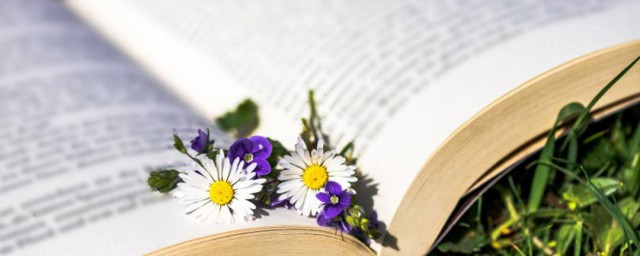 背负解释(是背负还是背负)