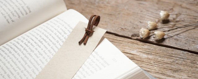 dpd快递的解释(dp快递是什么意思)