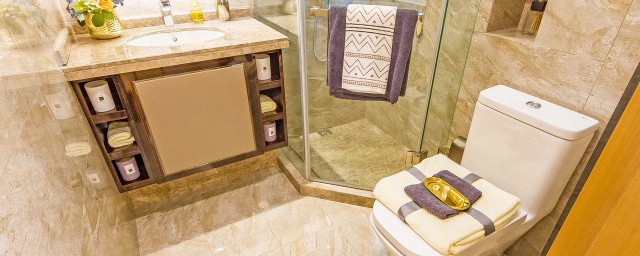 为什么家里有蜘蛛(为什么家里有蜘蛛发财)