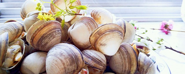 白蚬子的做法分享(白蚬子煮法)