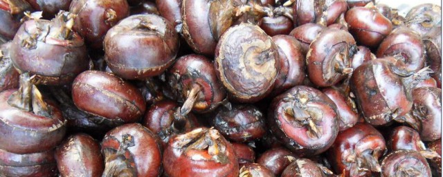 荸荠有可能寄生虫吗(荸荠有寄生虫不能吃?你懂怎么吃吗)