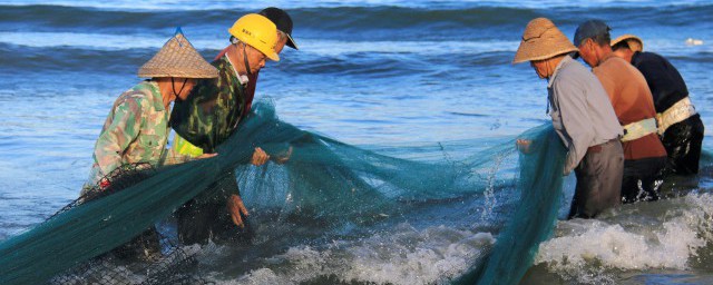 鲅鱼和马鲛鱼的区别(鲅鱼和马鲛鱼的区别是什么?)