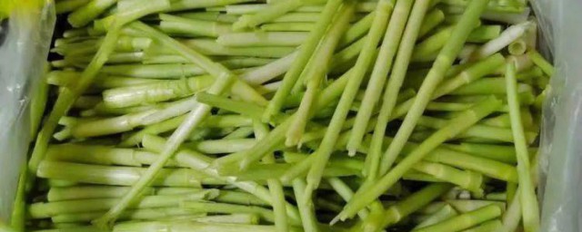 藜蒿是不是发物(藜蒿是发物吗哪些人不能吃藜)