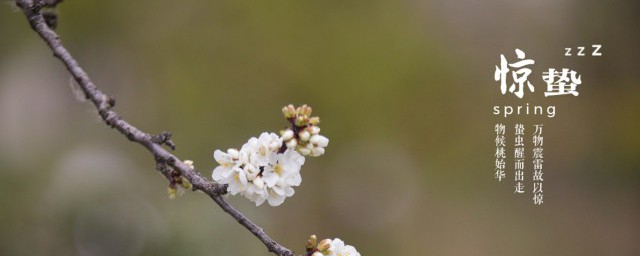 惊蛰是什么意思(三月惊蛰是什么意思)