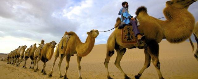 沙漠之舟意思简单介绍(沙漠之舟舟是什么意思)