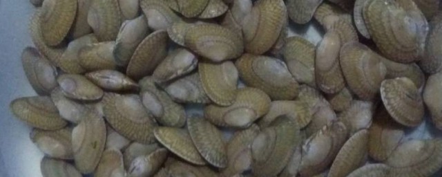 花蛤是否属于海鲜(蛤蜊算不算海鲜)