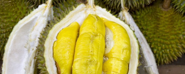 榴莲肉是否可以冷冻保存(新鲜的榴莲肉能冷冻保存吗)