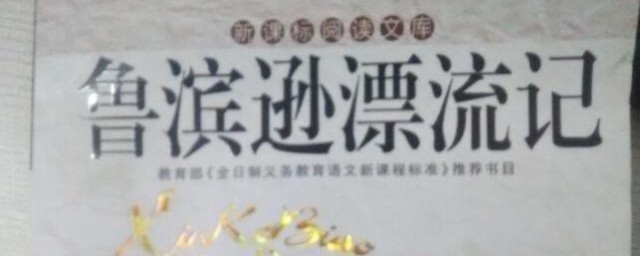 鲁滨逊漂流记的内容介绍(鲁滨逊漂流记的内容介绍150字)