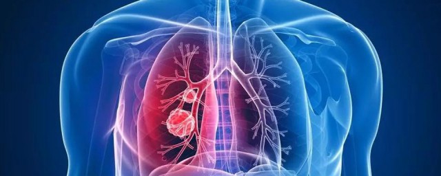 下呼吸道简单介绍(下呼吸道概念)