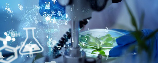 净光合速率简介(净光合速率 总光合速率)