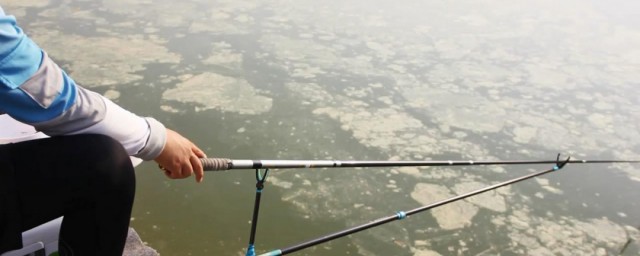 东南风是否好钓鱼(东南风有鱼钓吗)