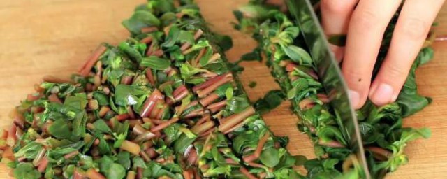 马齿苋怎么做好吃(晒干的马齿苋怎么做好吃)