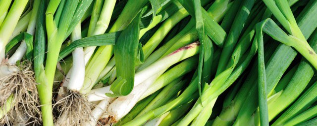 蒜苗简单做法(蒜苗的家常做法窍门)