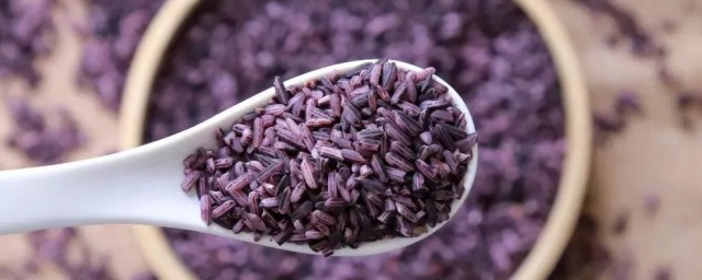 紫米简单介绍(紫米百度百科)