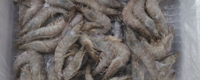 冰冻虾的家常做法分享(冻冰虾怎么做)