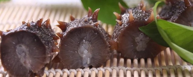 吃海参有什么副作用是什么(吃海参到底有什么作用)