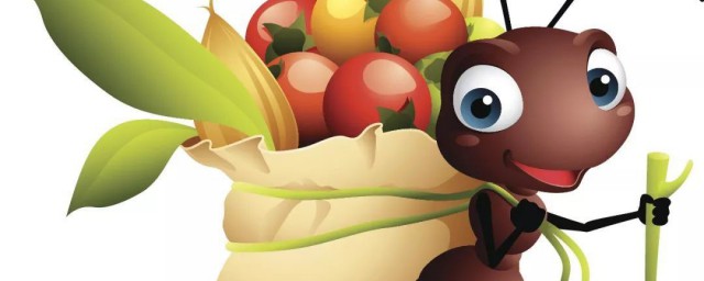 蚂蚁属于昆虫吗(蚂蚁属于昆虫么)