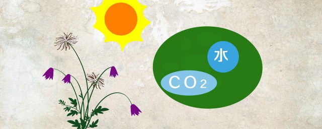 二氧化碳是不是有机物(二氧化碳是不是有机物质)