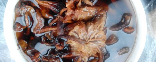 榛蘑的做法是什么(榛蘑怎么做好吃法大全)