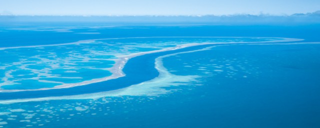 海是什么(海是什么生肖?)