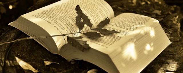 平均值不等式介绍(均值不等式公式是什么)