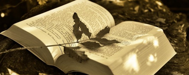 火红的枫叶像什么造句(枫叶火红火红的像什么造句)