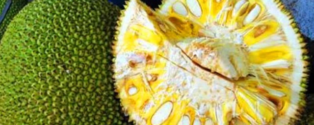 菠萝蜜是不是发物(菠萝蜜是不是发物小孩七岁有鼻炎能不能吃)