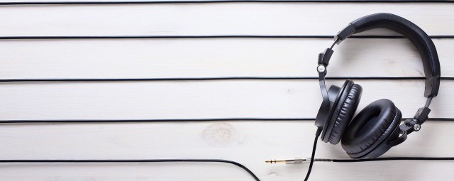 鱼翅新歌歌词介绍(鱼翅歌词典故)