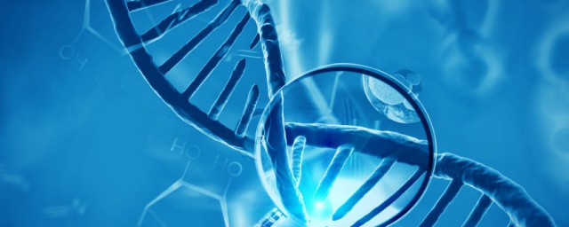 关于什么是等位基因非等位基因(等位基因与非等位基因的区别)