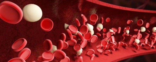 同化作用和异化作用概念分析(同化作用异化作用是什么)