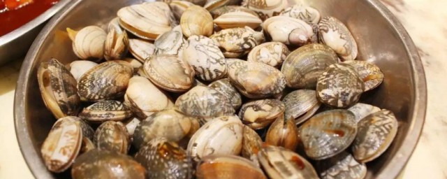 车螺吐沙最快方法(花螺吐沙最快的方法)