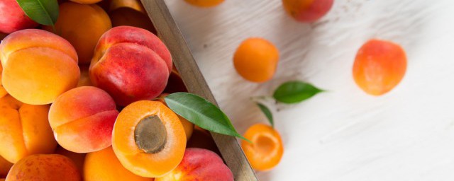 杏皮茶的功效(杏皮茶的功效与作用禁忌)