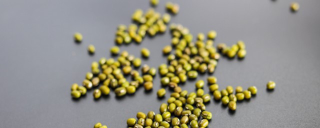 如何判断绿豆坏没坏(怎么判断绿豆芽坏没坏)