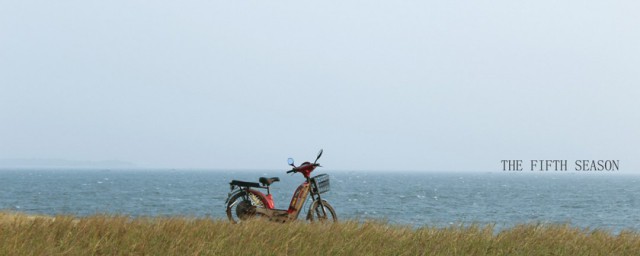 电影的剧情简介(电影就是电影剧情简介)