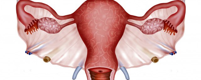 前壁后壁的解释(什么叫前壁后壁)