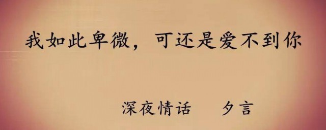 爱情卑微解释(卑微的爱情是啥意思)