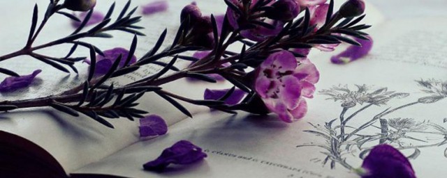 文章的线索介绍(文章的线索怎么写)