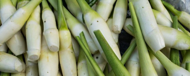 茭白在农村叫什么名(茭白还有什么叫法)