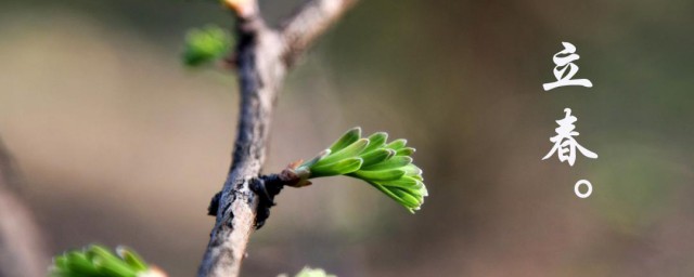 立春如何发朋友圈祝福(立春朋友圈转发语)