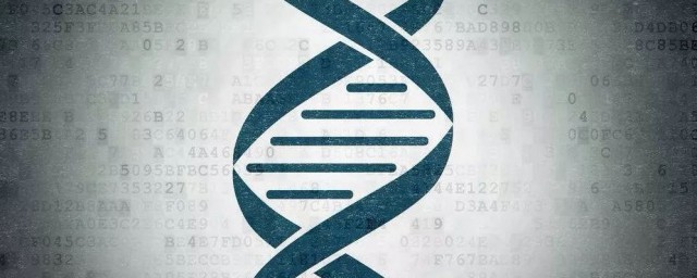 遗传物质简单介绍(遗传物质组成)